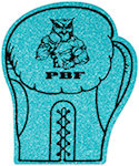 13 inch Boxing Glove